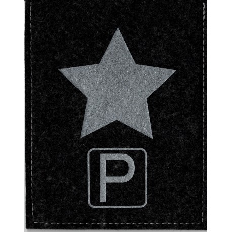 Parkscheibe / Parkkarte blaue Zone - Stern - schwarz / silber